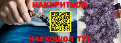гашик Сланцы