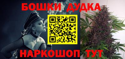 индика Славгород
