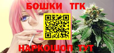 индика Славгород