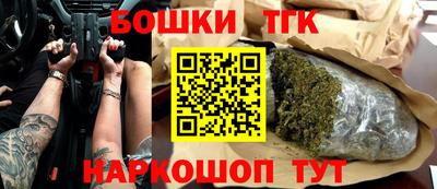 индика Славгород
