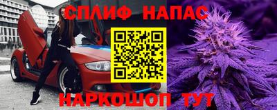 индика Славгород