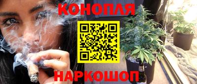 индика Славгород