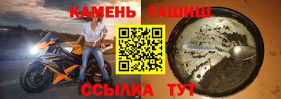 индика Славгород